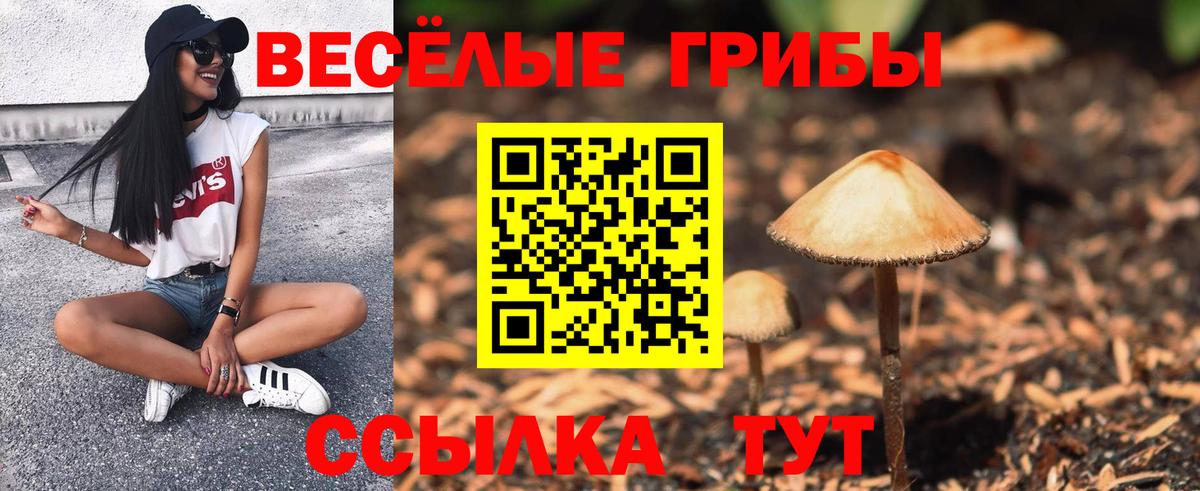 как найти закладки  Псилоцибиновые грибы MAGIC MUSHROOMS  Вход с VPN  Ялта 