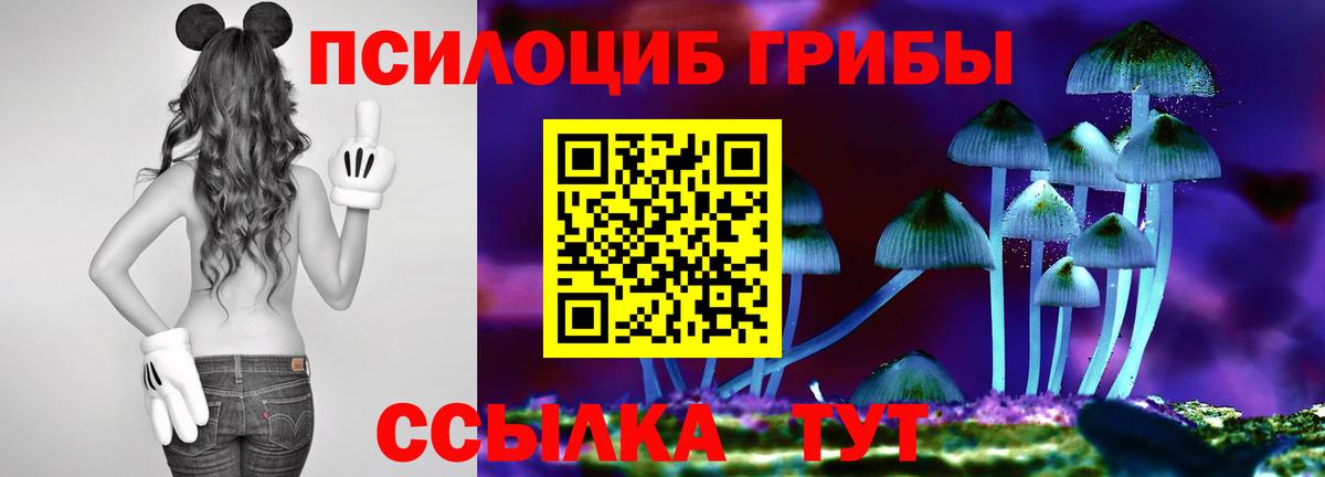 Псилоцибиновые грибы Psilocybine cubensis Ялта